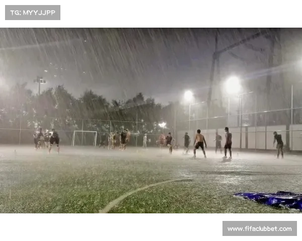 昆州橄榄球场保险纠纷:暴雨损毁揭露设施标准缺失 昆州橄榄球场保险纠纷:暴雨损毁揭露设施标准缺失